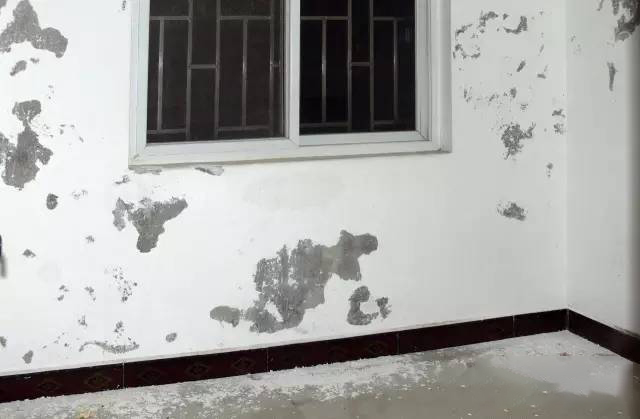 1661328132734675.jpg 640 (3).jpg